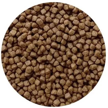 ٰٰٰٰٰٰغذای خشک بچه گربه برند فیدار 1 کیلویی غذای خشک بچه گربه برند فیدار 1 کیلویی، غذای کامل و مقوی مخصوص بچه گربهها | پت گوگولی