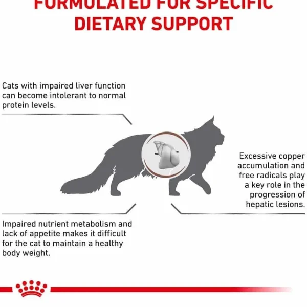 غذای خشک گربه رویال کنین گاسترو اینتستینال Royal Canin Gastro Intestinal GI برای مشکلات گوارشی